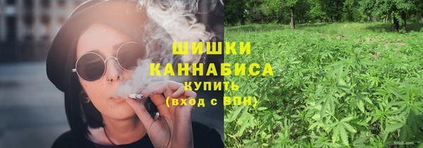 соль ск Кулебаки